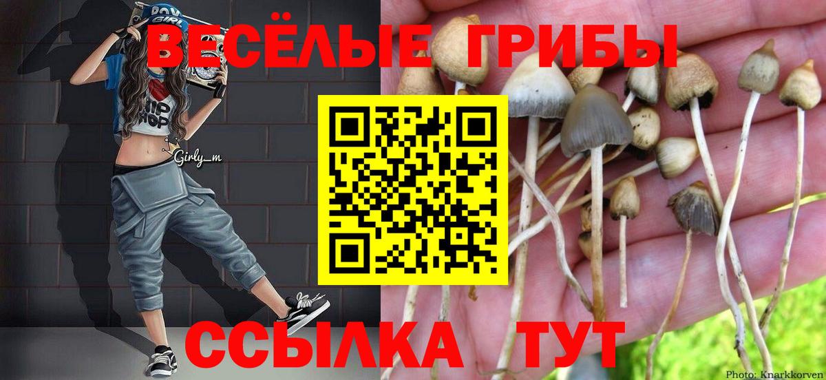 Псилоцибиновые грибы Psilocybe Лангепас